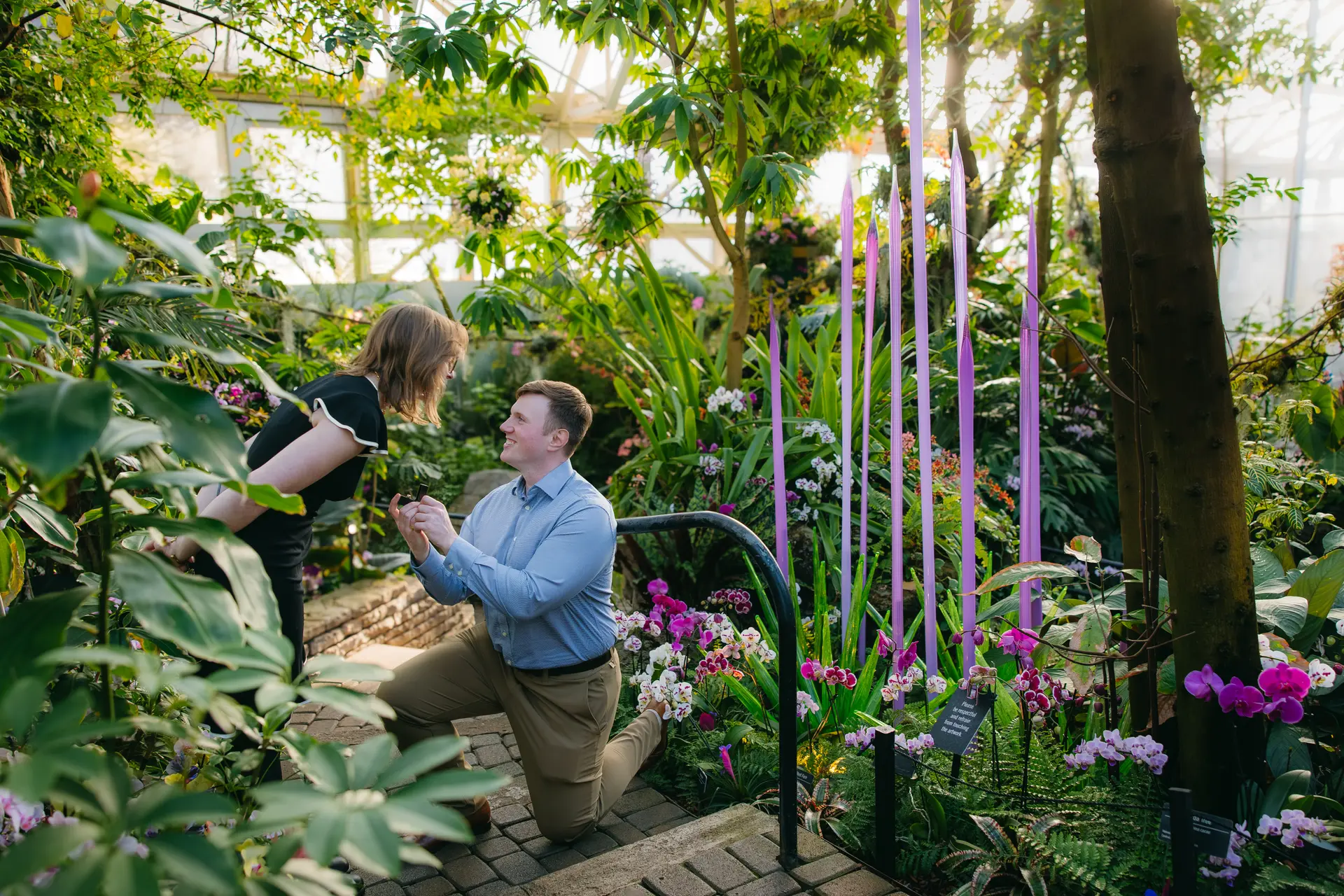 The proposal, on one knee in a glasshouse full of orchids.